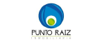 Punto raiz